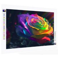 Diamantové maľovanie s okrúhlymi diamantmi - Dúhová ruža, 35 x 50