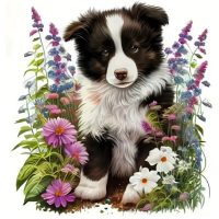 Diamantové maľovanie s diamantmi v tvare štvorca - Pes 2267, 40 x 40