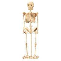 WOODEN TOY WCK 3D puzzle - Kostra