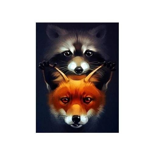 Foto - Diamantové maľovanie - Čierna a oranžová líška, 50 x 70