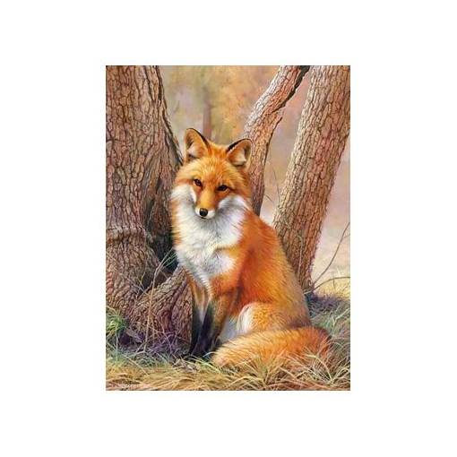 Foto - Diamantové maľovanie - Líška v lese, 30 x 40