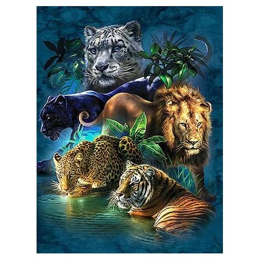 Foto - Diamantové maľovanie s okrúhlymi diamantmi - Zvieratá džungle, 40 x 50